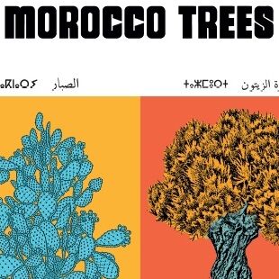 Affiche : planche botanique de 8 arbres du Maroc, version POP, collection Morocco Trees thumbnail 4