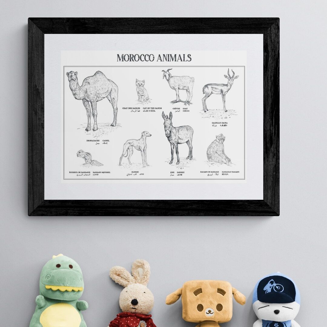 Affiche : planche zoologique de 8 animaux du Maroc, collection Morocco Animals thumbnail 1