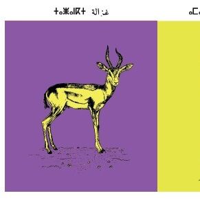 Affiche : planche zoologique de 8 animaux du Maroc, version POP, collection Morocco Animals thumbnail 3