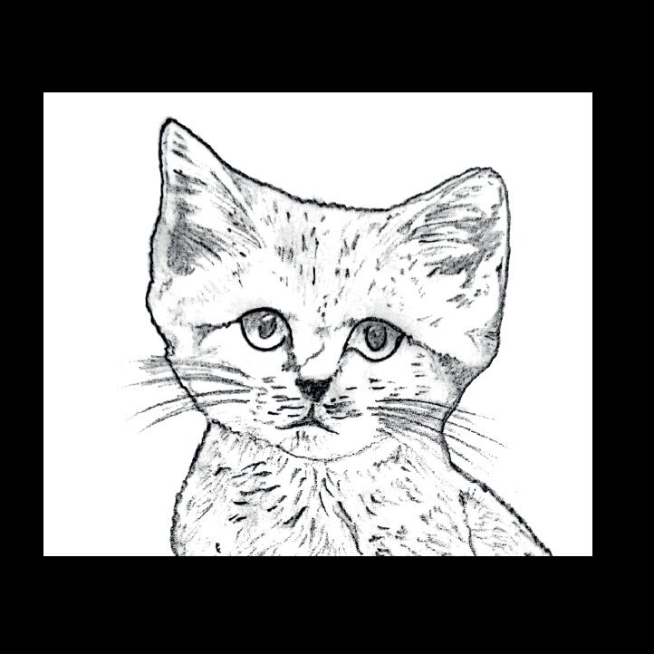 Affiche de la planche zoologique CHAT DES SABLES thumbnail 4