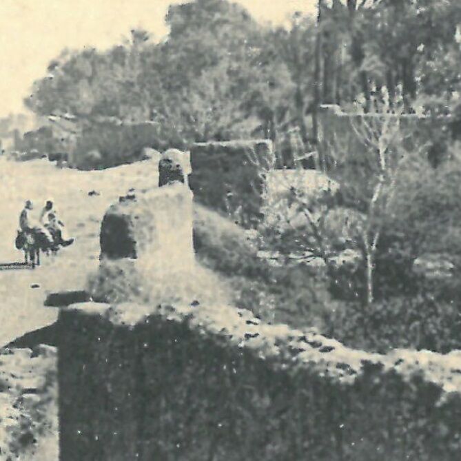Affiche d'une vue ancienne de Marrakech - Route de Bab Doukkala - vers 1920 - reproduction thumbnail 3