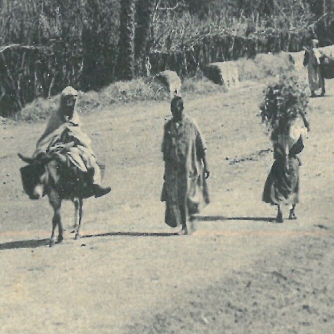 Affiche d'une vue ancienne de Marrakech - Route de Bab Doukkala - vers 1920 - reproduction thumbnail 4