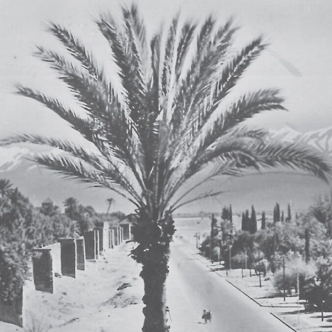 Affiche d'une vue ancienne de Marrakech - Les remparts de la médina - vers 1950 - reproduction thumbnail 3