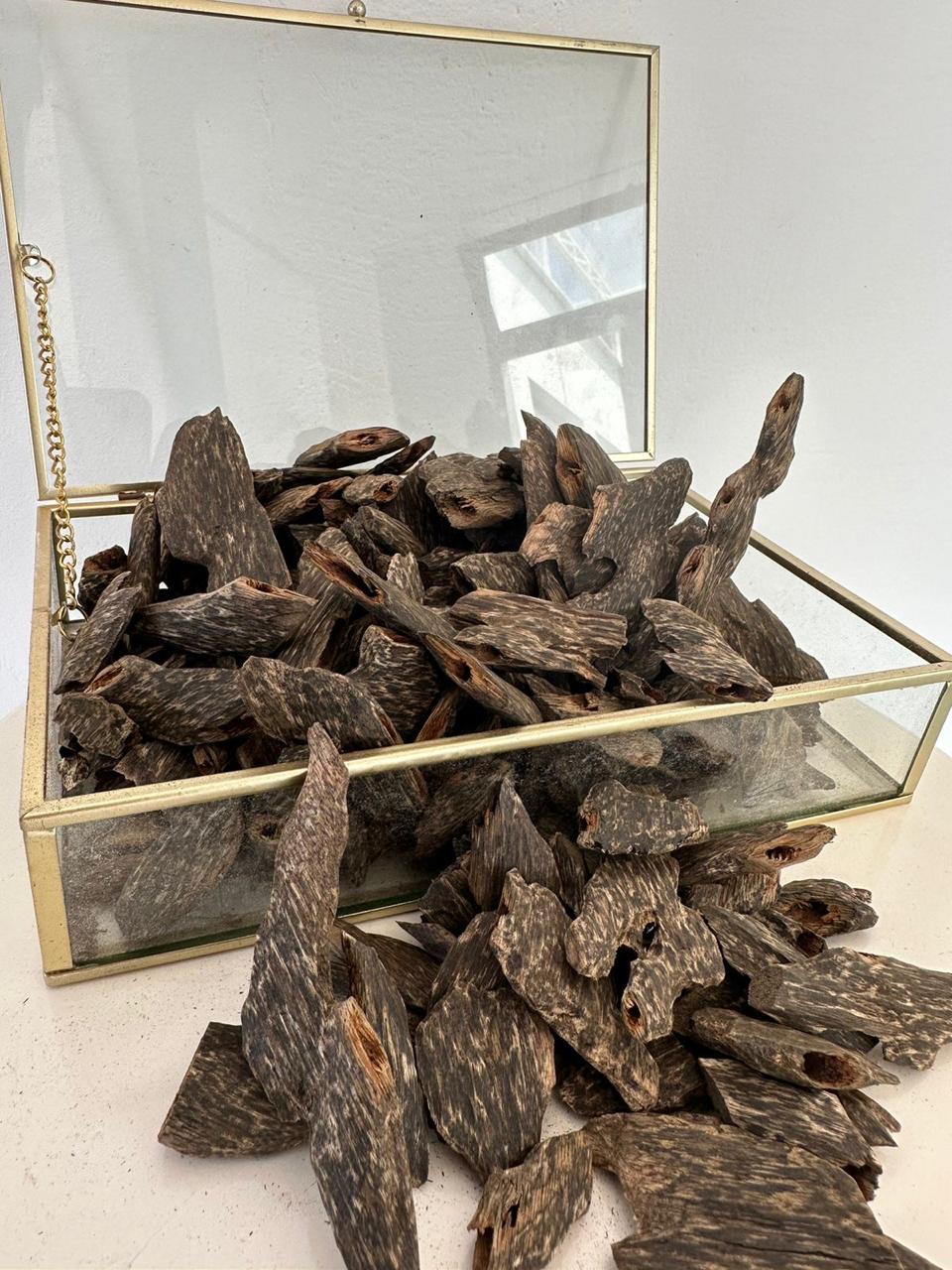 عود كمبودي مسمار thumbnail 3