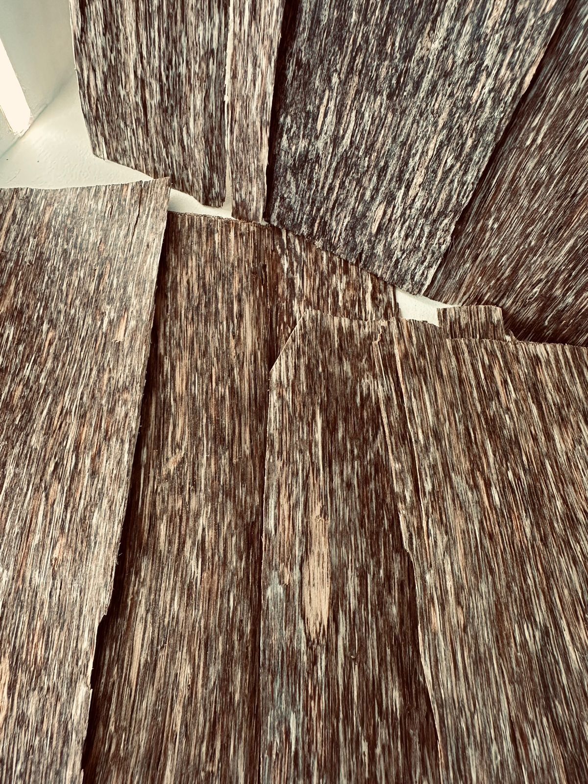 FLAT OUD - VIETNAM thumbnail 4