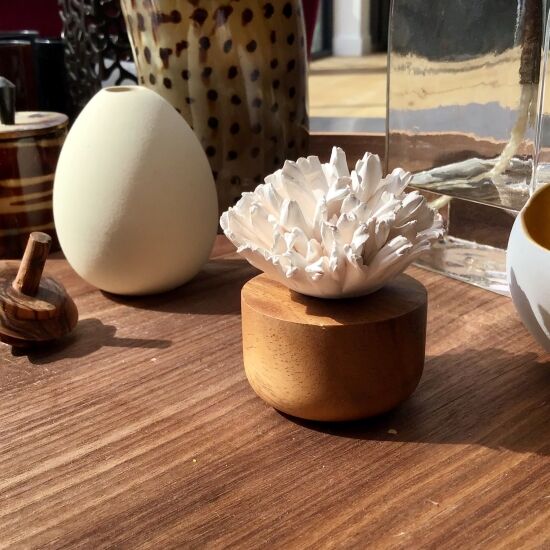 ŒILLET DU JAPON BLANC - DIFFUSEUR  EN PORCELAINE ET CÉRAMIQUE POUR INTÉRIEUR