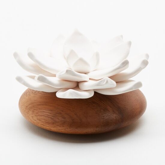 STAR DE JAVA - DIFFUSEUR DE PARFUM POUR INTÉRIEUR EN CÉRAMIQUE ET BOIS DACACIA