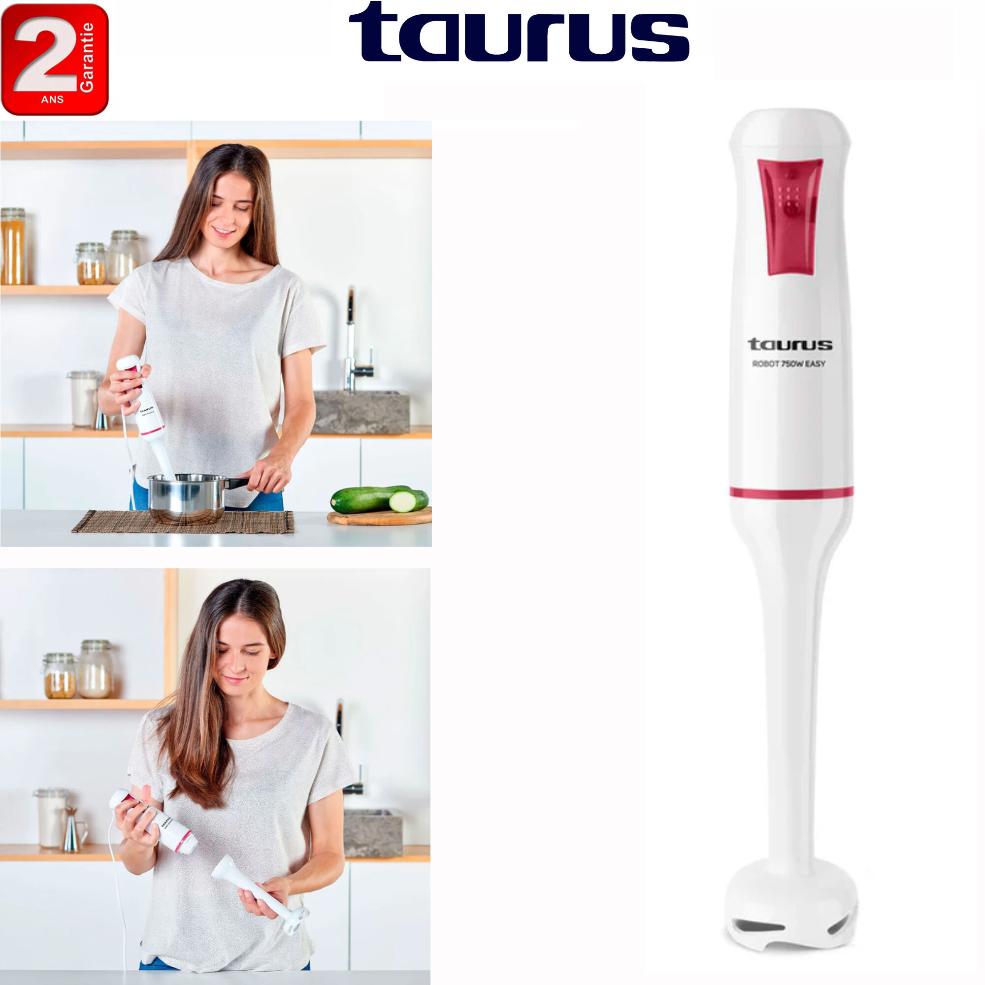 Robot Mixeur Plongeant Robot 750 Easy