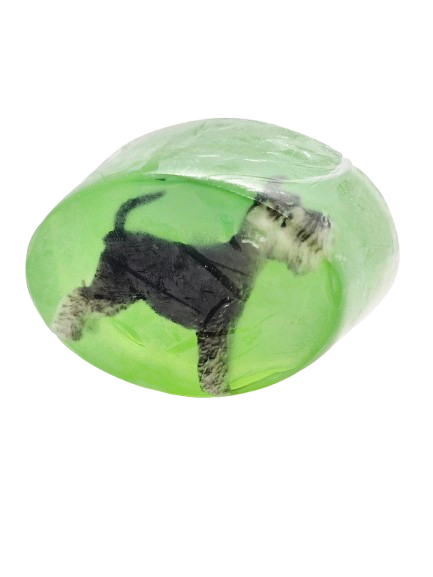 Savon SWIBI - Chien - Parfum Pomme