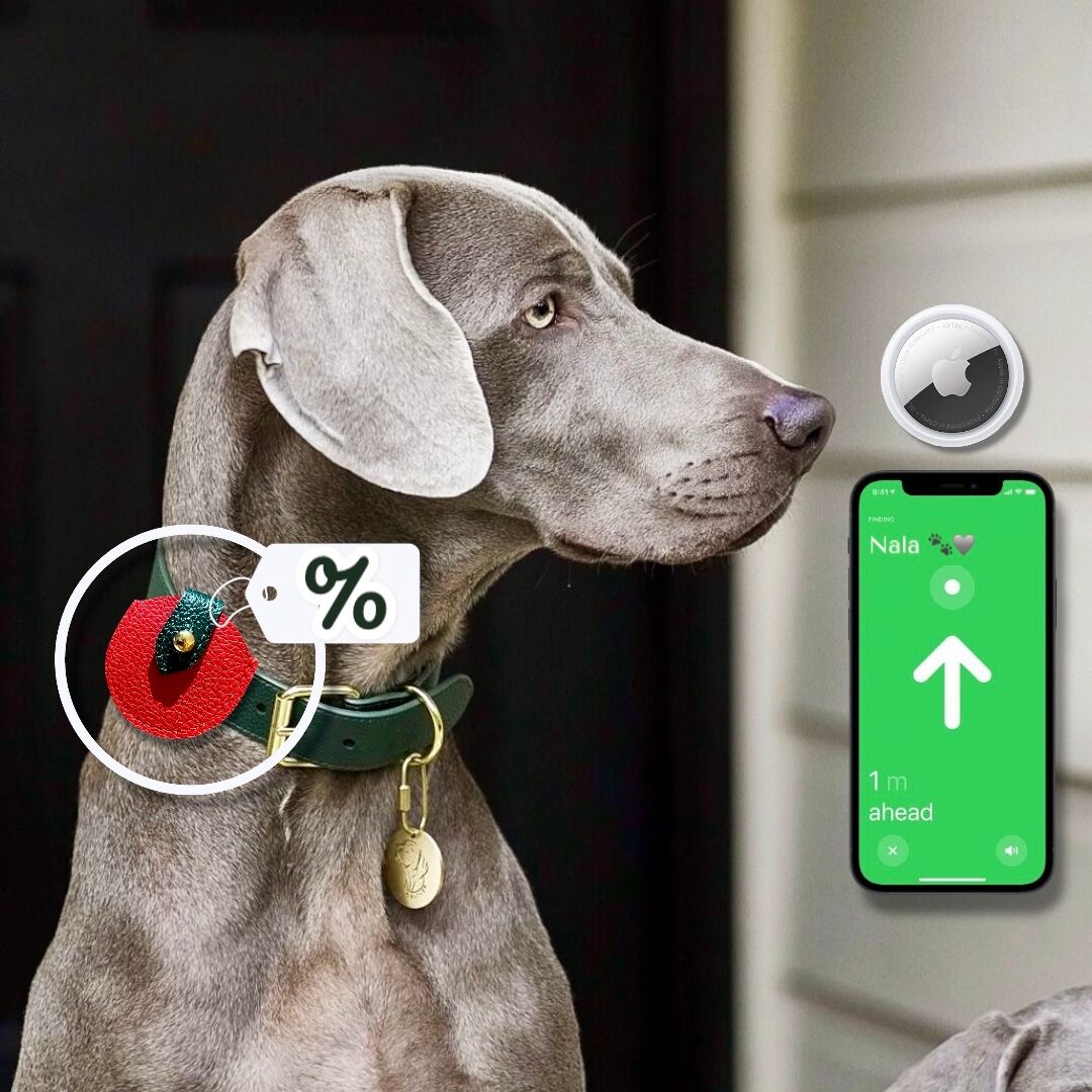 Étui en Cuir pour AirTag