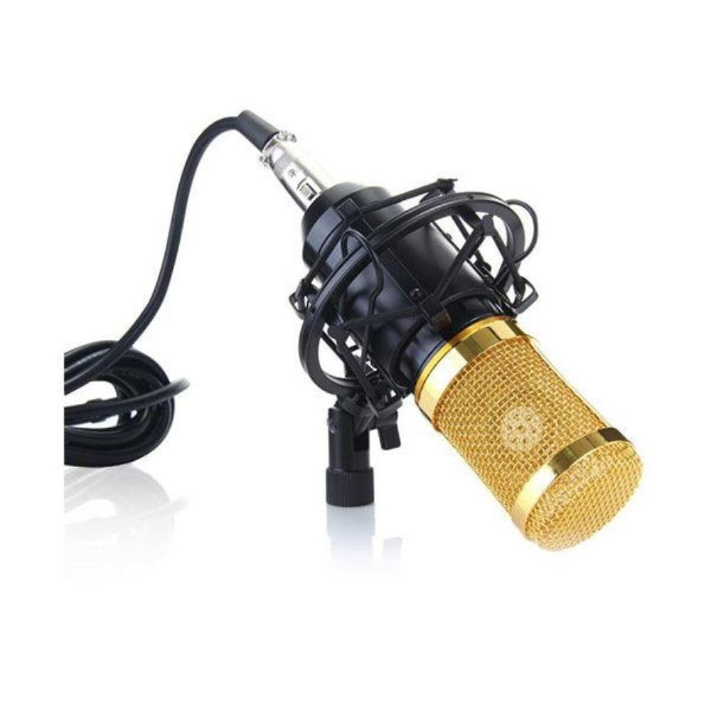 Pack Micro Pro – Qualité Studio à la Maison un Son Clair et Puissant + Adaptateur Audio Jack thumbnail 8