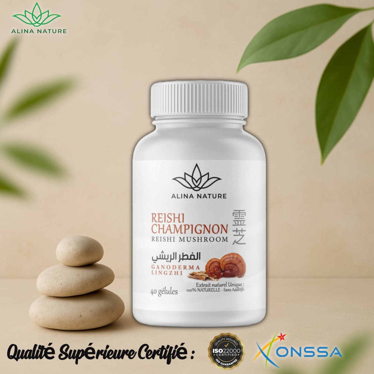 Reishi Mushroom – Immunité, énergie et bien-être naturel