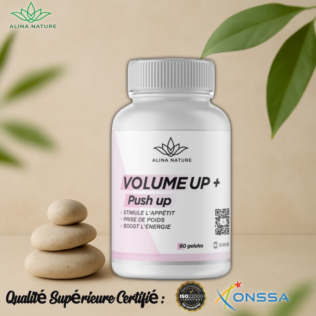 Volume Up + Push Up – Prise de Formes Féminines Naturelles