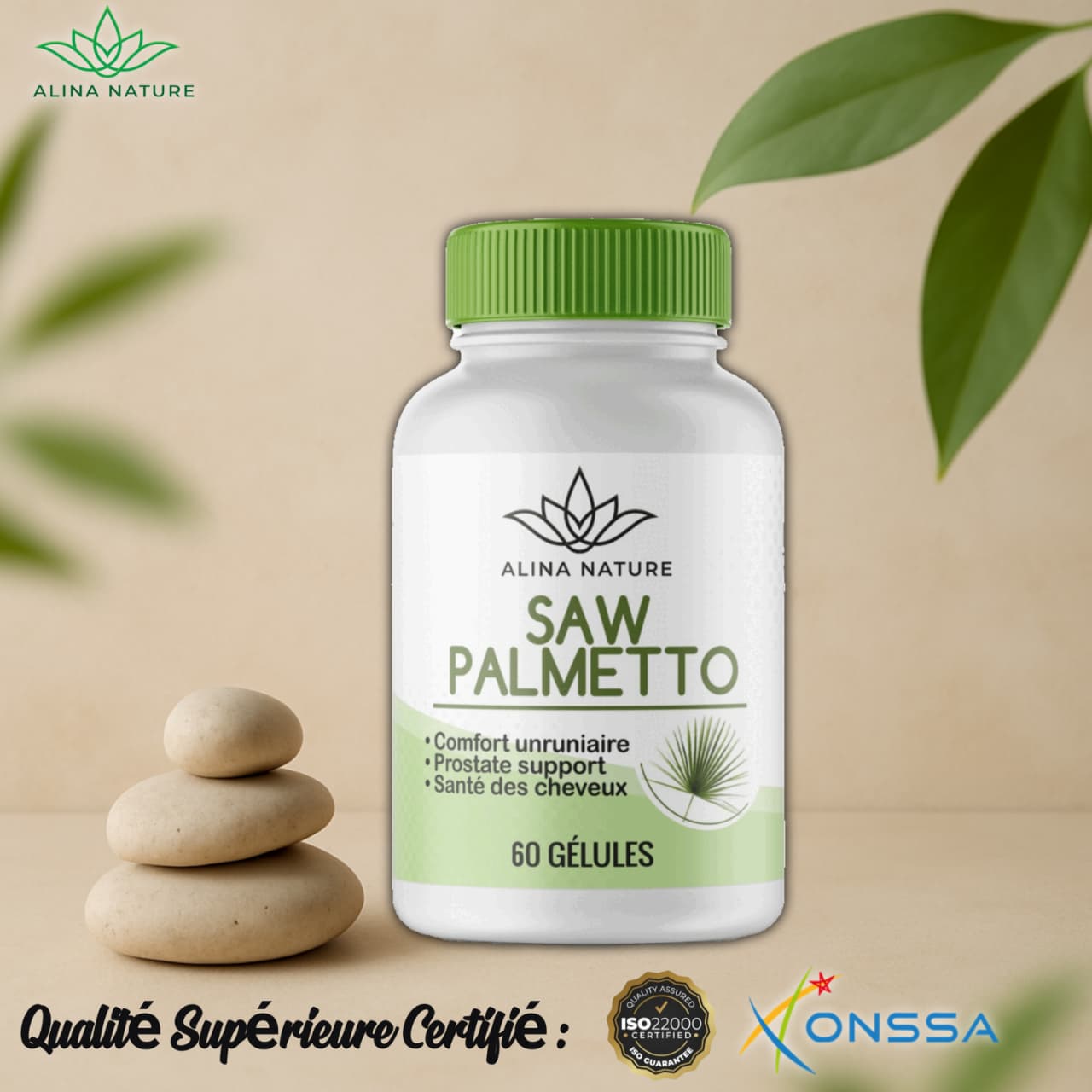Saw Palmetto – Santé de la prostate & vitalité masculine