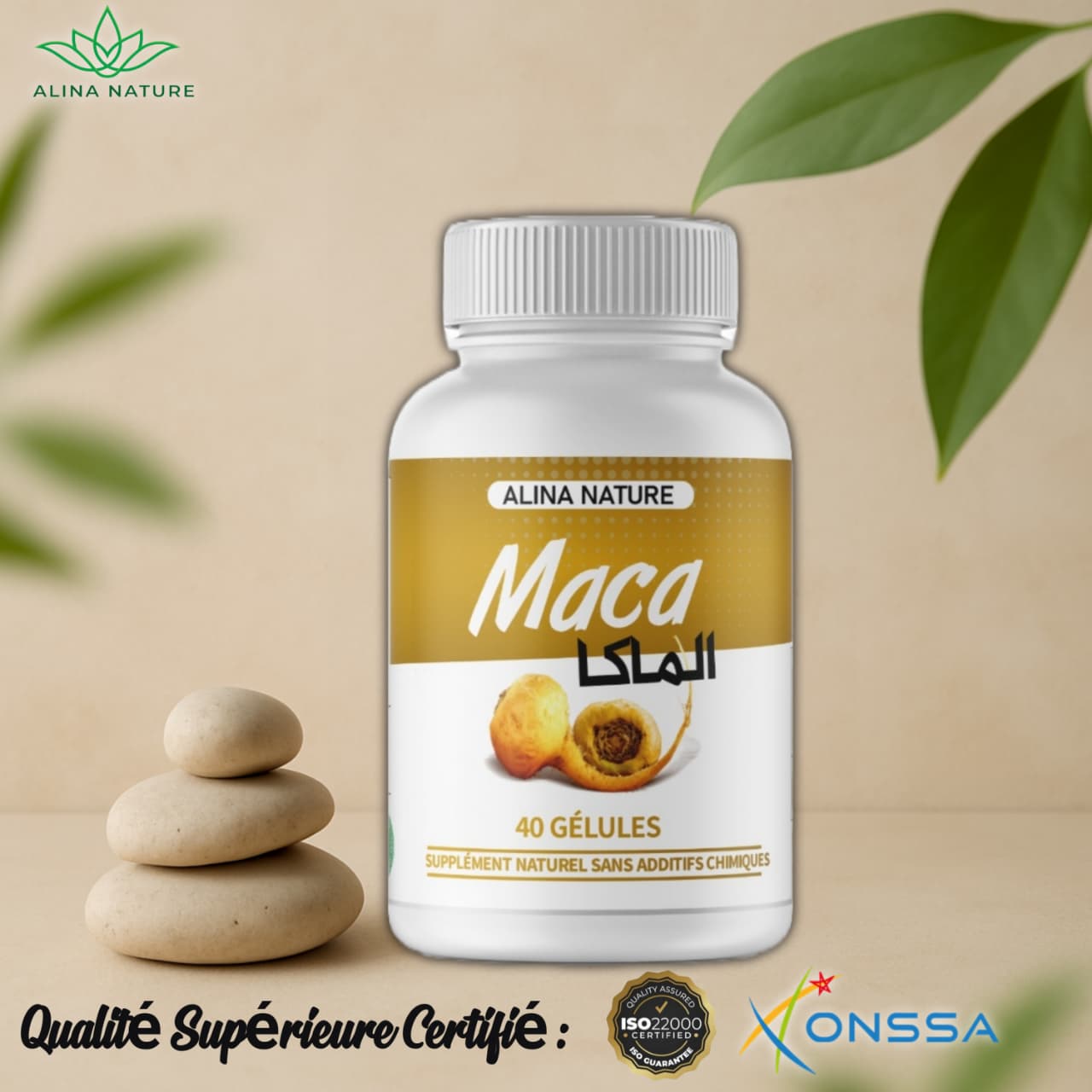 Maca – libido et la fertilité Énergie, vitalité  & équilibre hormonal