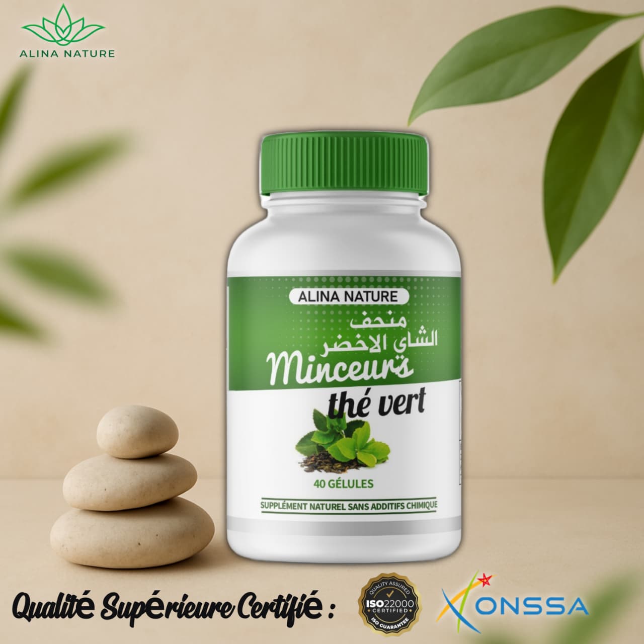 Thé Vert – Brûle Graisses & Antioxydant Naturel – 40 gélules