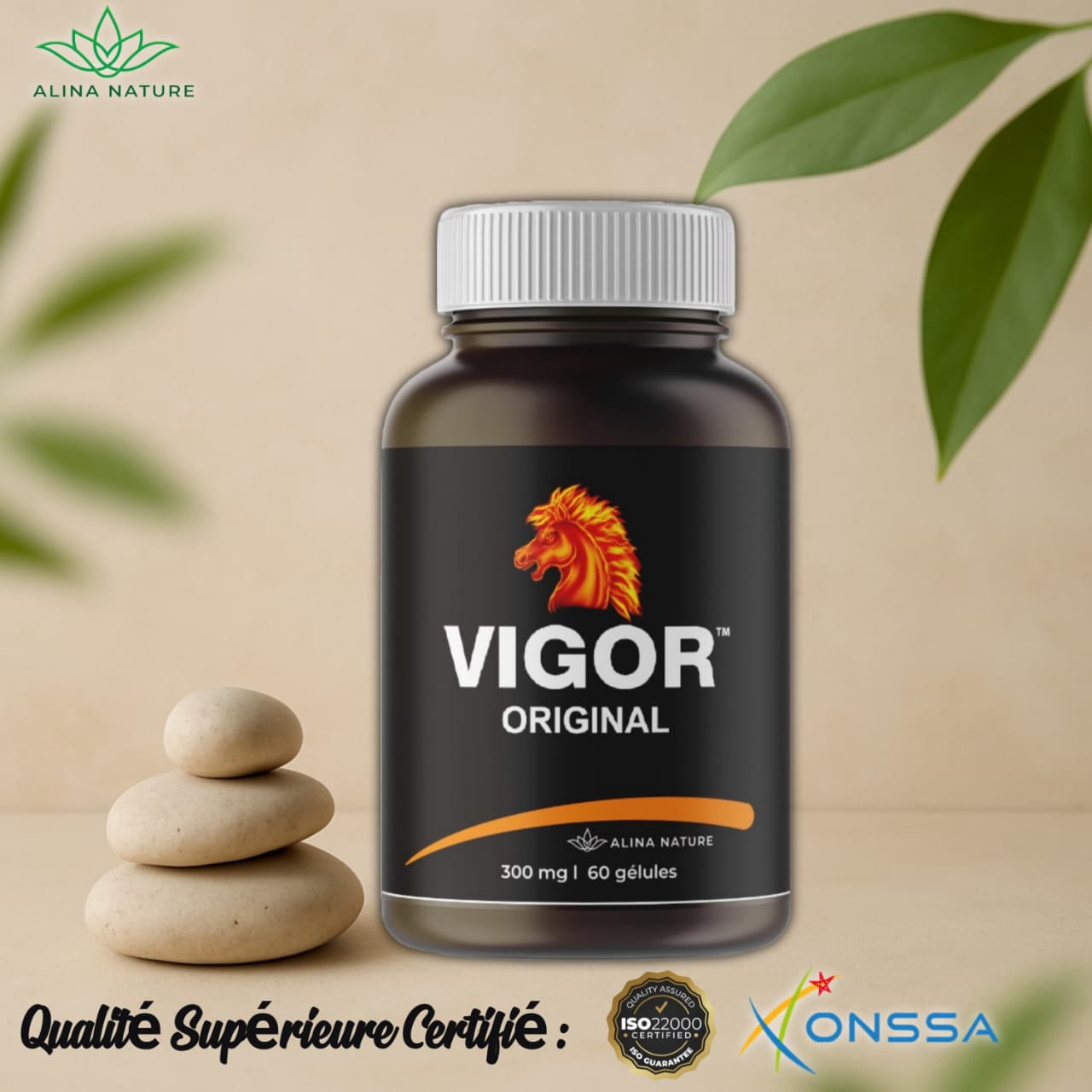 Vigor – Énergie, Vitalité & Performance Masculine – 60 gélules