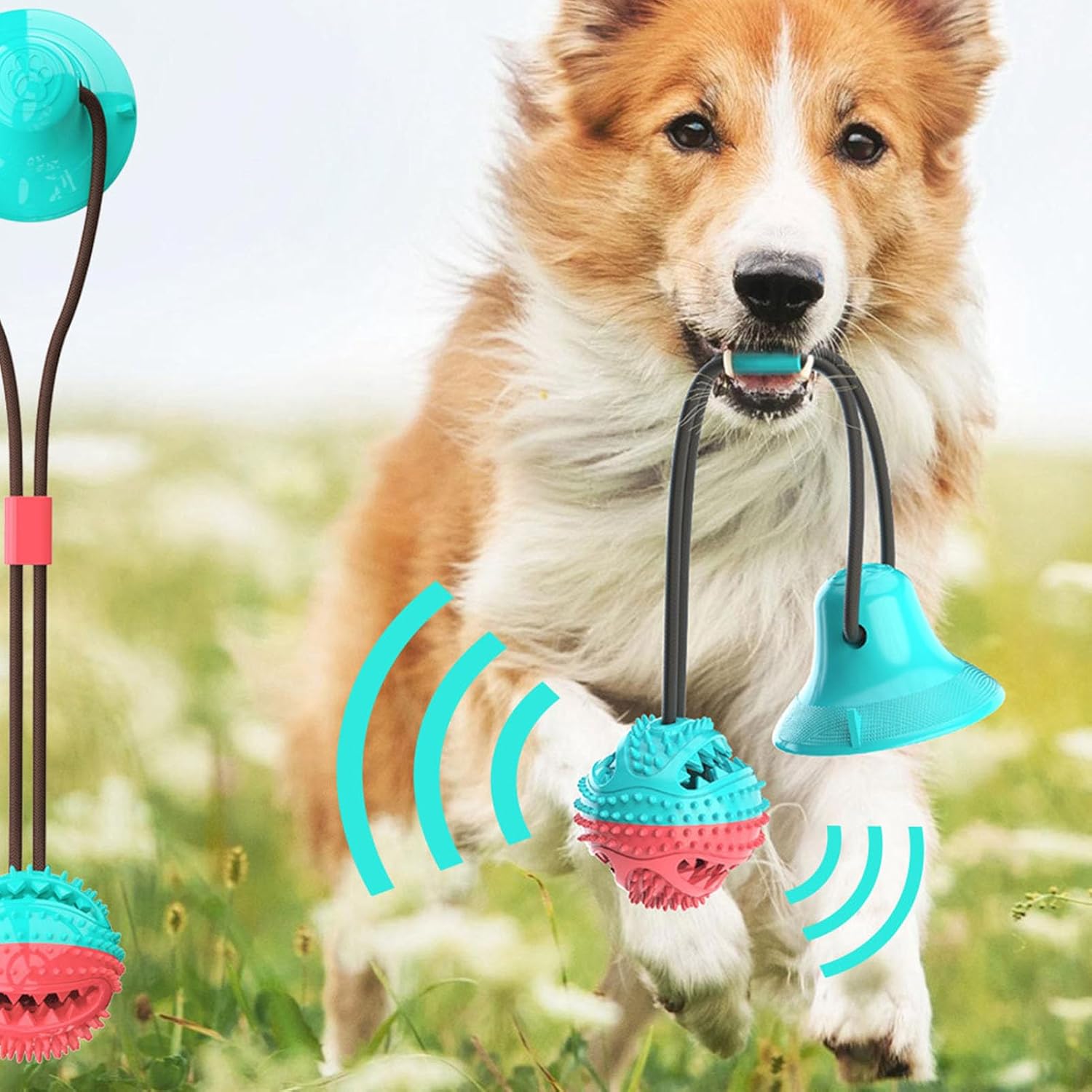 Jouet pour chien – Ventouse avec balle distributrice et corde