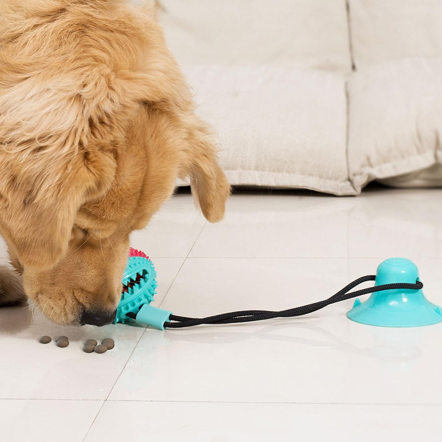 Jouet pour chien – Ventouse avec balle distributrice et corde thumbnail 3