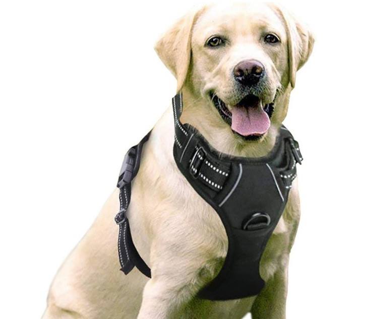 Harnais pour Grand Chien – Taille XL, Anti-Traction et Réglable
