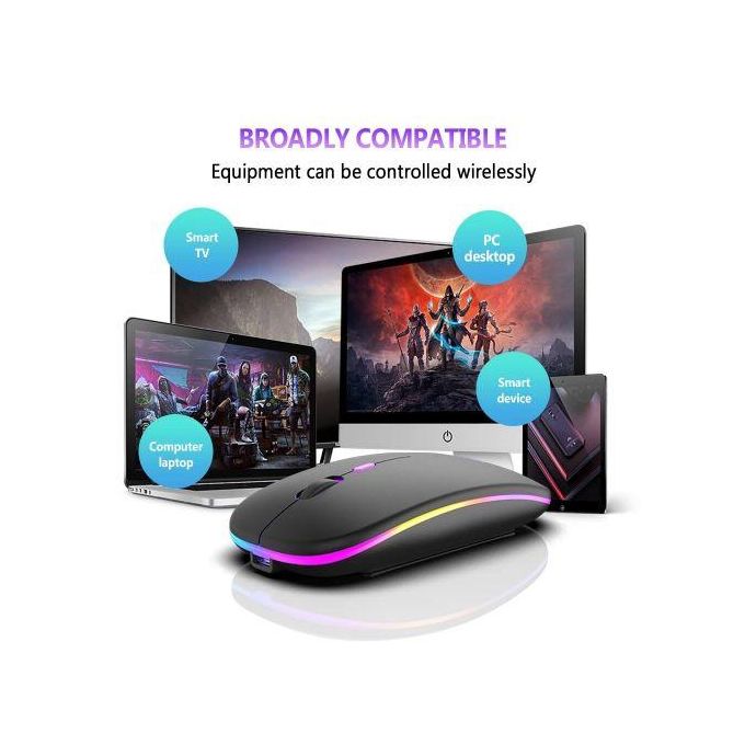 Souris sans Fil X15, Bluetooth 2.4GHz Rechargeable et Ergonomique, Double Mode