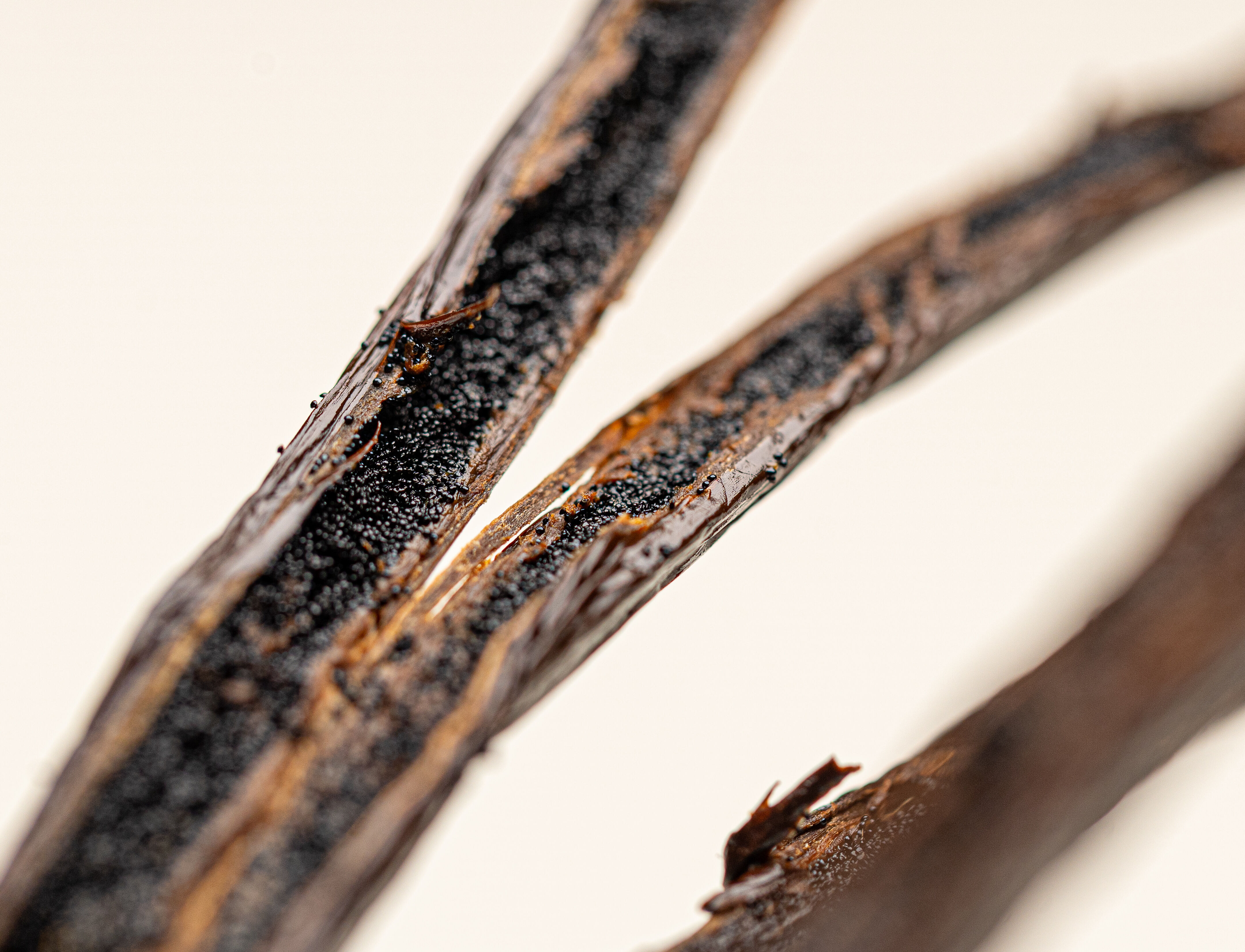 Caviar de Vanille Bourbon 10