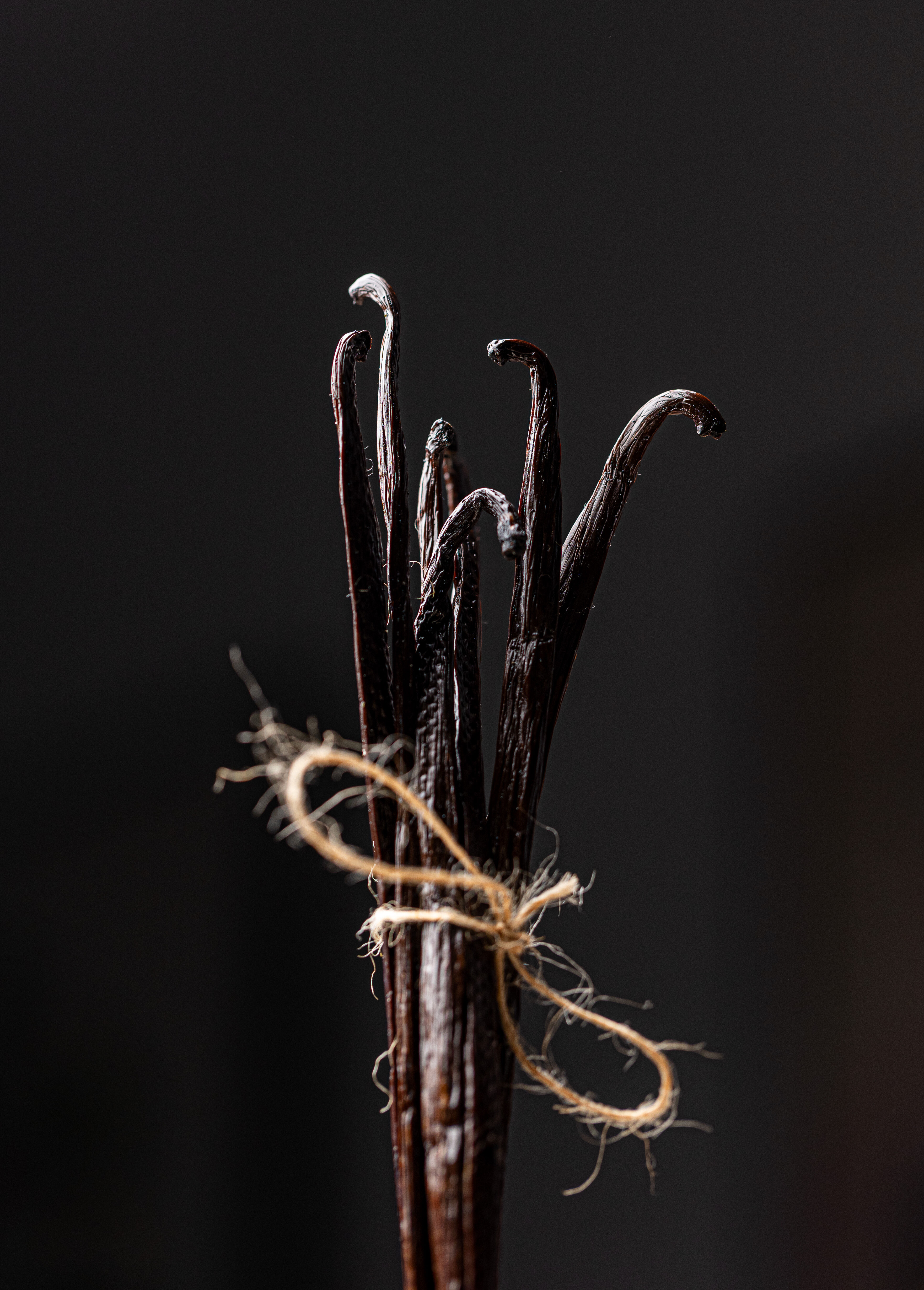 5 Gousse de Vanille Bourbon  thumbnail 3