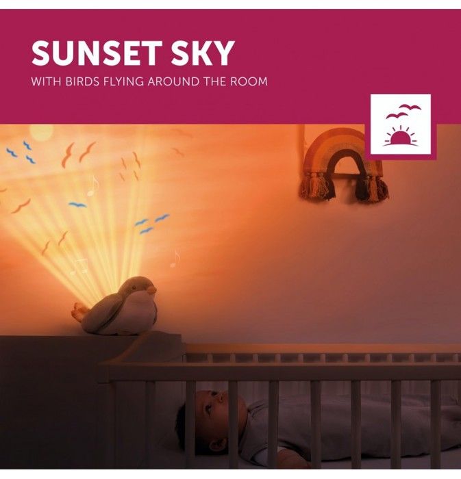 Shally Sunset Projector