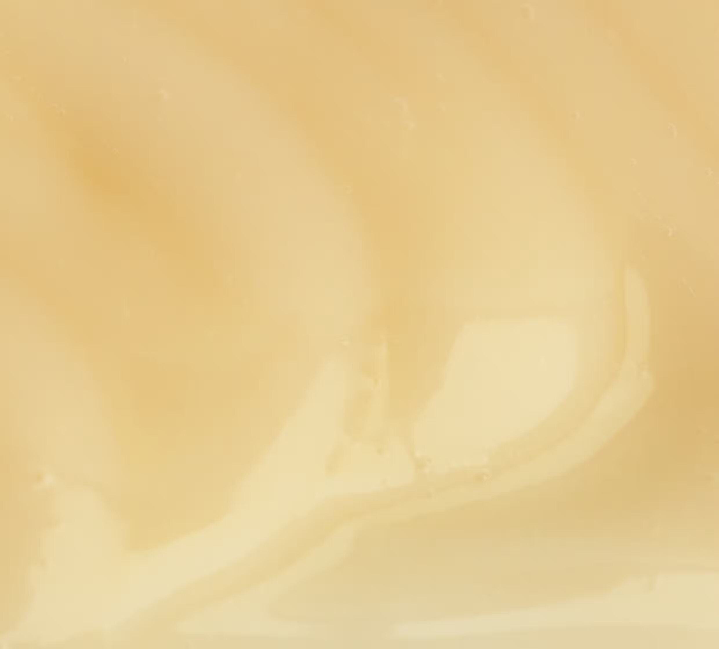 Lait Corporel Nutritif - Gelée Royale - Peaux Sèches  thumbnail 2