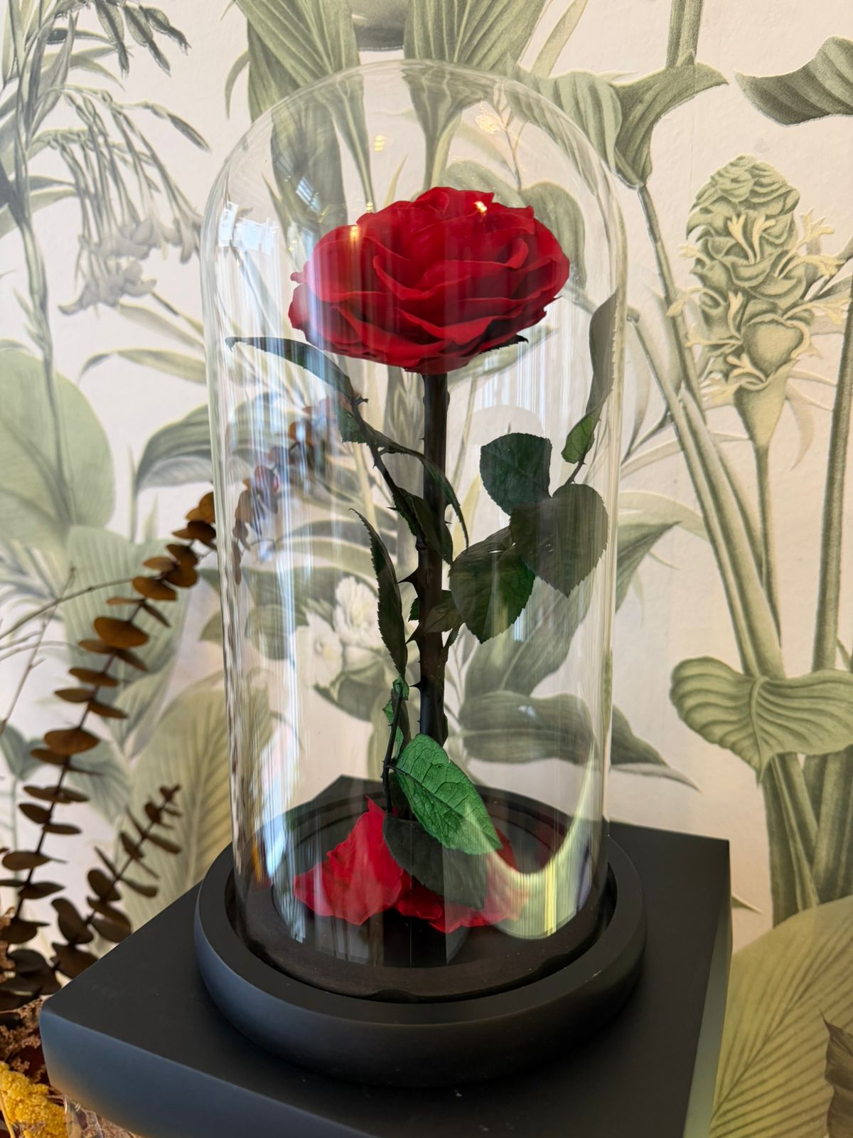 Rose Éternelle Love