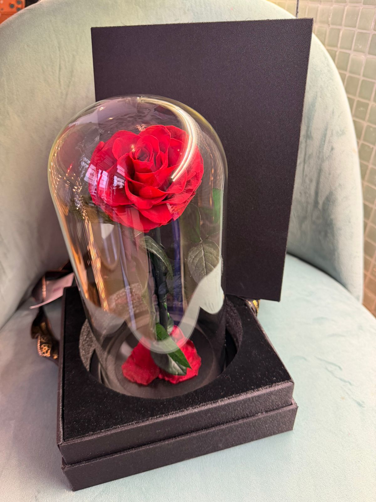 Rose Éternelle Love thumbnail 3