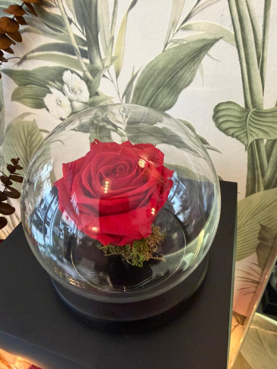 Rose éternelle boulle