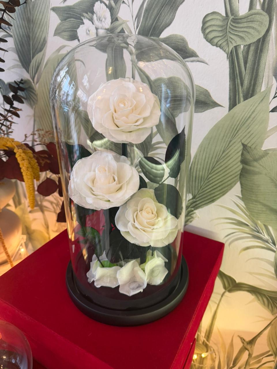 Roses éternelles pureté 