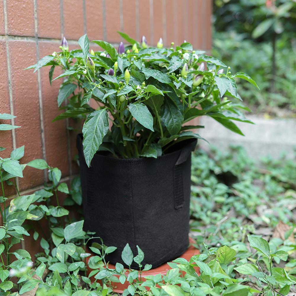 Pot En Tissu, Sac De Culture En Feutre, Capacité De 4 Litres, Jardinage, Horticulture, Croissance Des Plantes, Culture De Légumes, Stimulation De La Croissance, Ensemble De 8 Pièces thumbnail 4