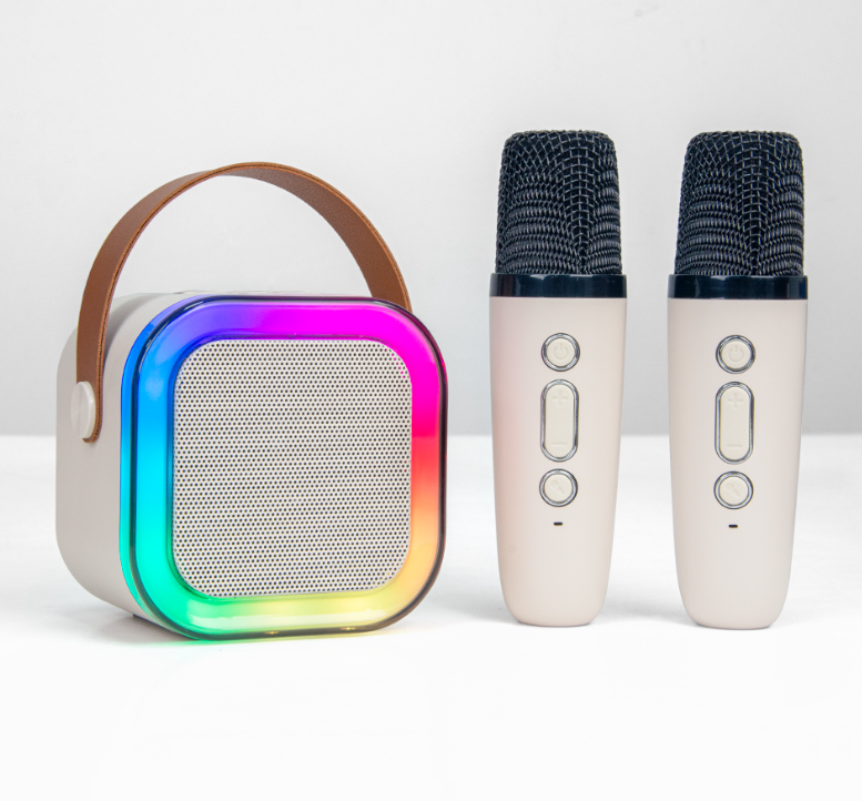 Enceinte Karaoké Mini Bluetooth – 2 Micros, Voix Changeante Et Led