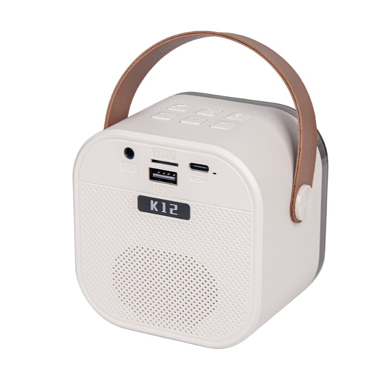 Enceinte Karaoké Mini Bluetooth – 2 Micros, Voix Changeante Et Led