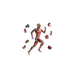 10 Bande Kinésiologique Confort Sport, Soutien Musculaire Pro, Couleur Aléatoire