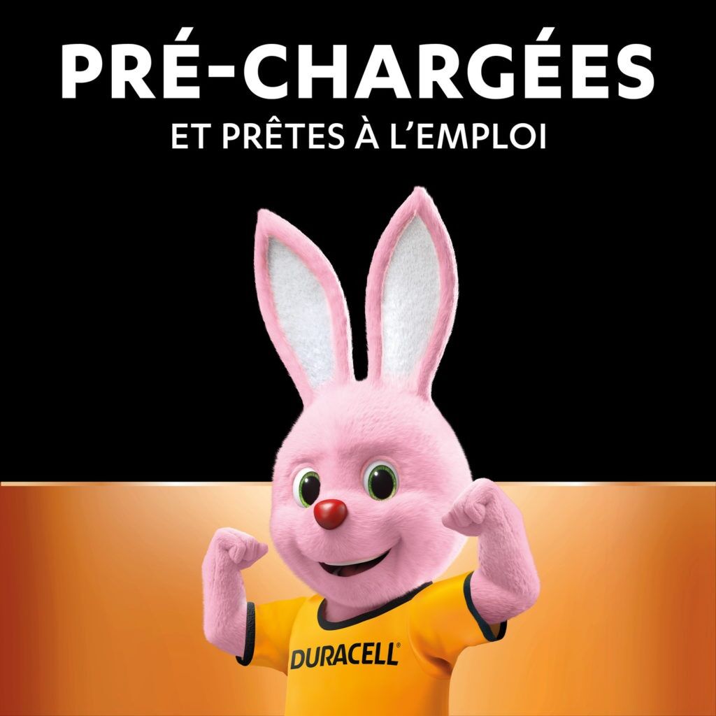 Duracell Lot De 2 Batterie Rechargeable Pile Préchargée Aa (ni-mh) X2 1300mah Pro 5years