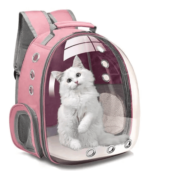 Sac À Dos Polyvalent Pour Petits Animaux De Compagnie, Pour Chiens Et Chats