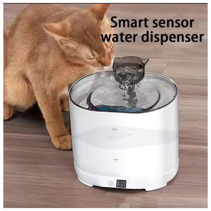 Distributeur D'eau Automatique Pour Animaux Avec Détection De Mouvement