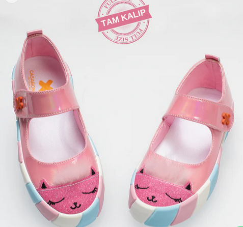 Fairy Tale Pink Ballerina Shoes