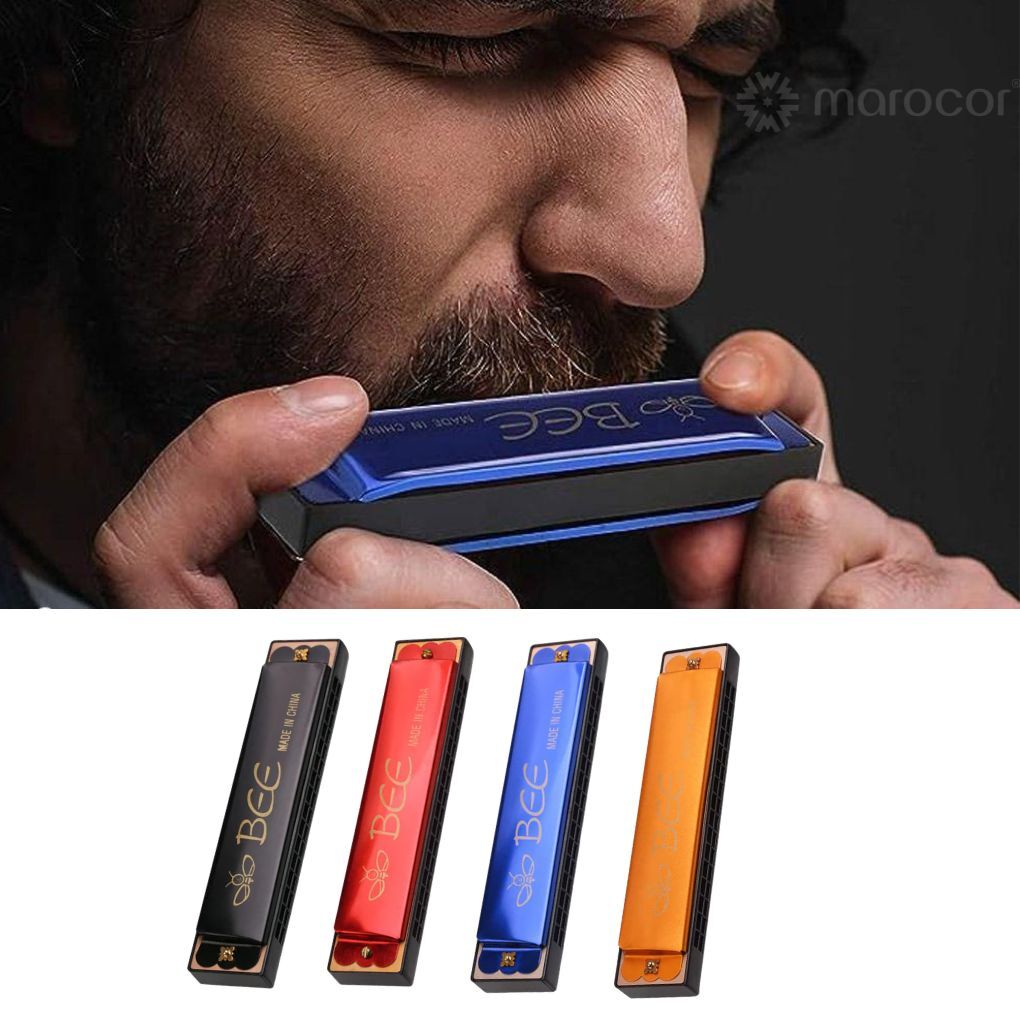 Harmonica 24 Trous Métal Débutants Instrument De Musique - Couleur Aléatoire