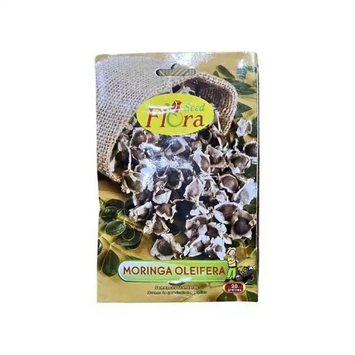 Flora Graines De Moringa Oleifera 20 Semences
