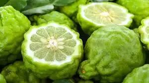 Pack 2 Huiles Aromatiques – Bergamote & Basilic thumbnail 3
