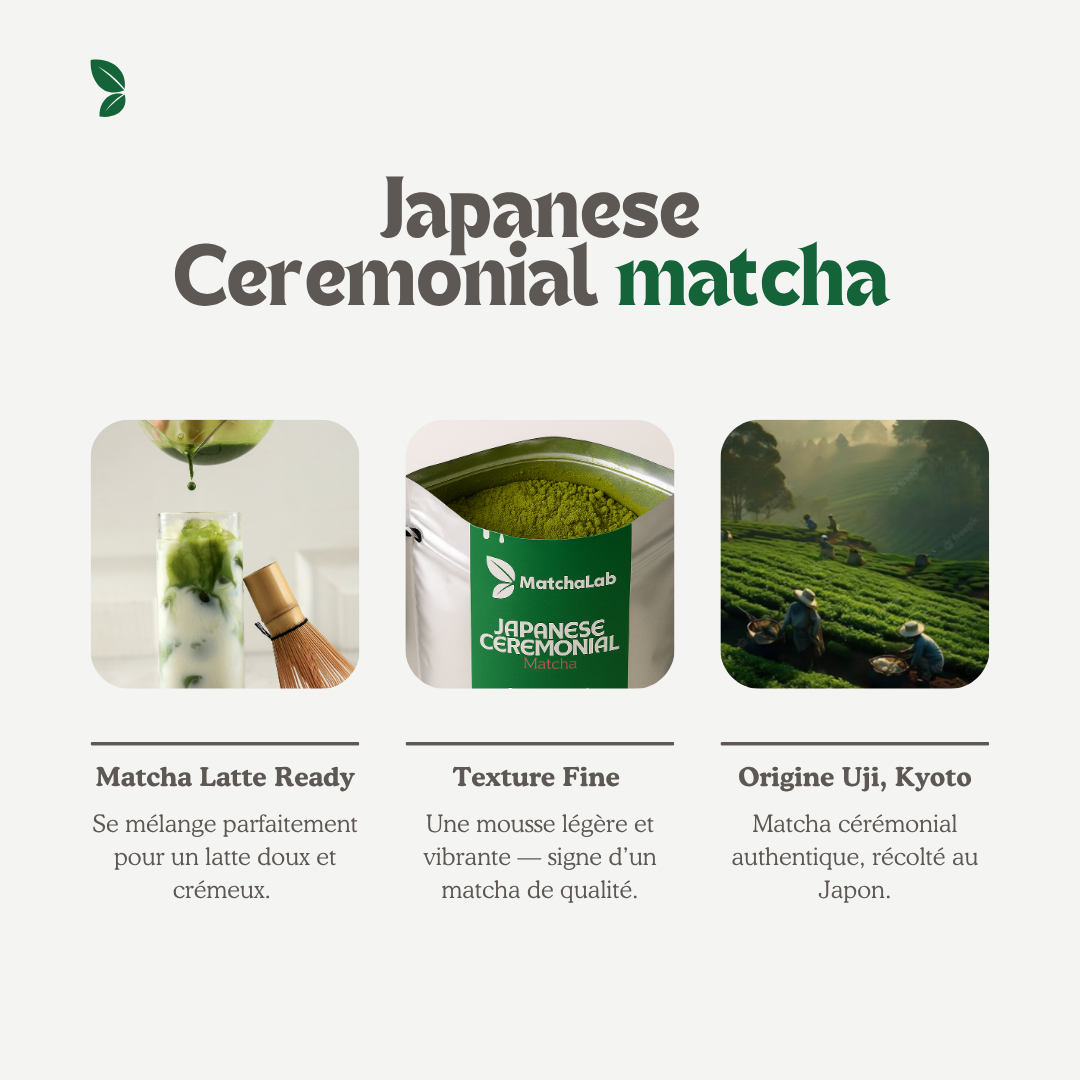 Matcha Japonais Cérémonial Premium 50g