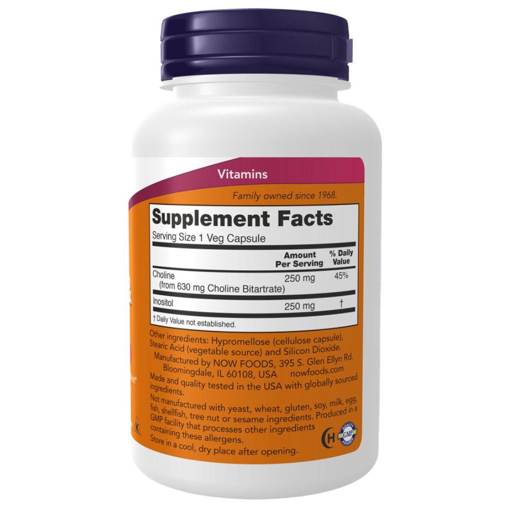 Choline & Inositol | 500 Mg Choline + Inositol | Formule Vegan | Sans Gluten